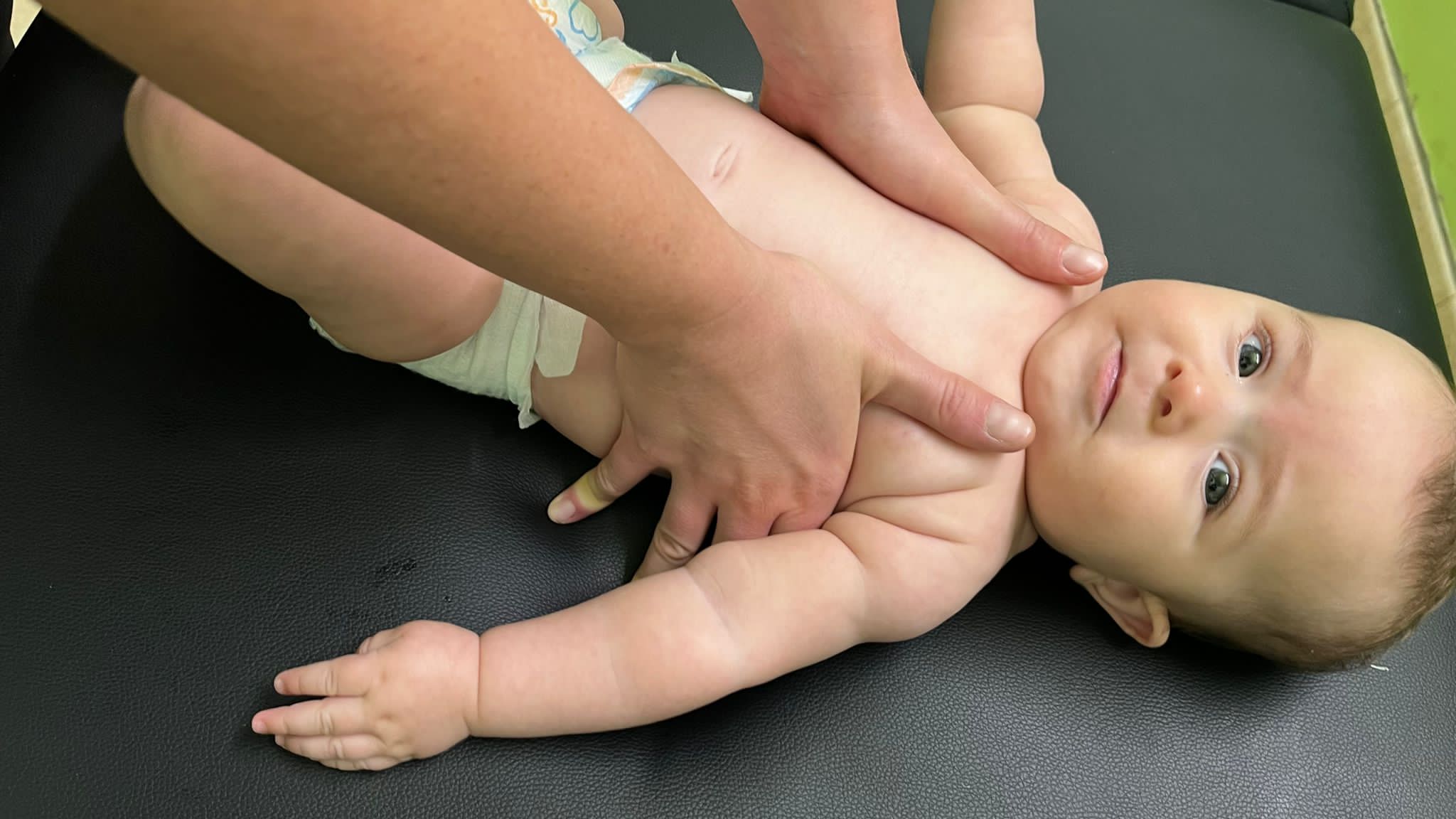 2dab0056-3c28-45e2-8508-2dc7c20b3f1b